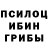 Галлюциногенные грибы Psilocybe loknnol