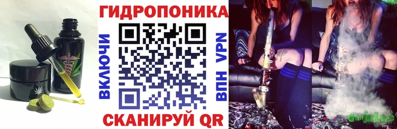 Canna-Cookies конопля  МЕГА онион  Можга  закладка 