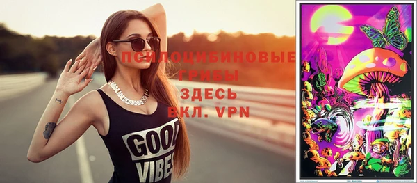 винт Снежногорск
