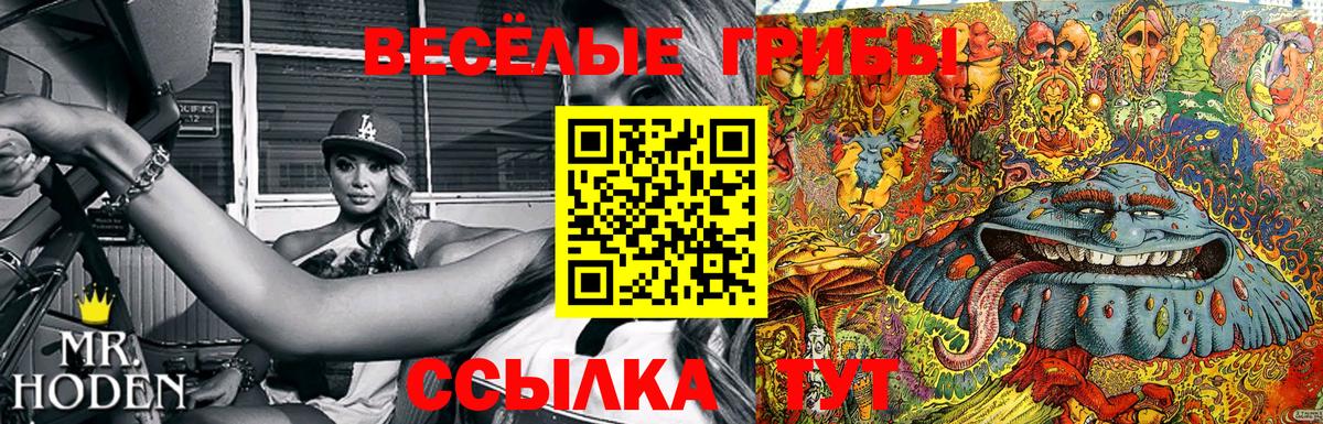Можга  Галлюциногенные грибы прущие грибы  Вход с VPN 